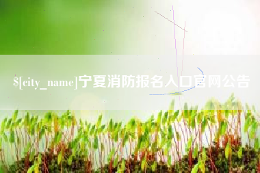 仙桃宁夏消防报名入口官网公告