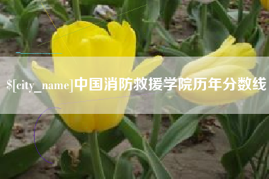 仙桃中国消防救援学院历年分数线