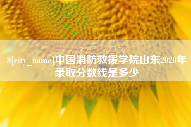 仙桃中国消防救援学院山东2020年录取分数线是多少