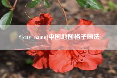 仙桃中国地图格子画法