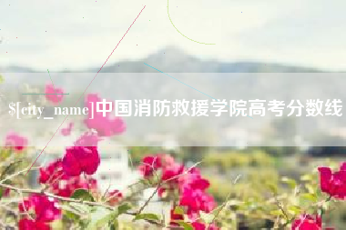 仙桃中国消防救援学院高考分数线