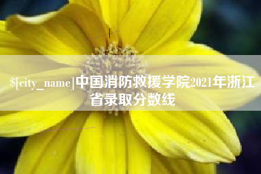 仙桃中国消防救援学院2021年浙江省录取分数线