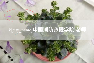仙桃中国消防救援学院 老师
