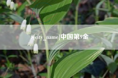 仙桃中国第9金