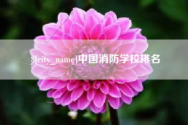 仙桃中国消防学校排名