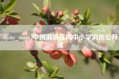 仙桃中国消防官网中小学消防公开课
