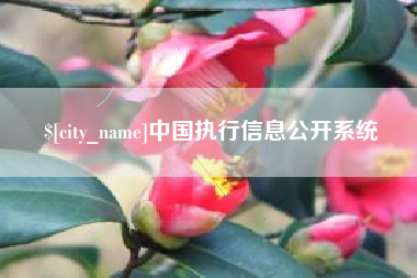 仙桃中国执行信息公开系统
