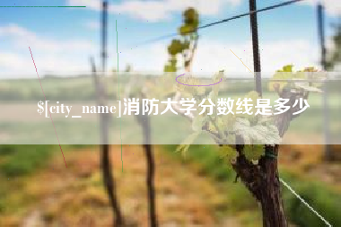 仙桃消防大学分数线是多少