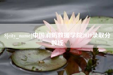 仙桃中国消防救援学院2019录取分数线