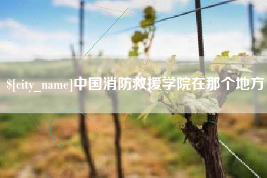 仙桃中国消防救援学院在那个地方
