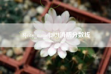仙桃2021消防分数线