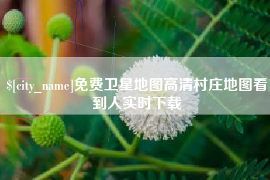 仙桃免费卫星地图高清村庄地图看到人实时下载