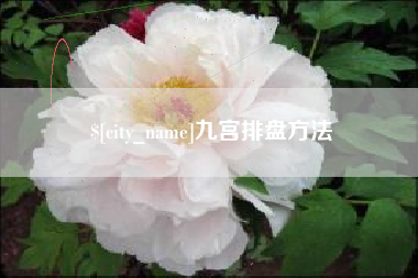 仙桃九宫排盘方法