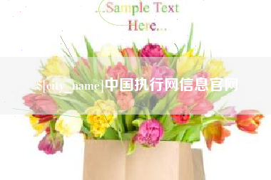 仙桃中国执行网信息官网