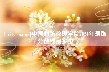 仙桃中国消防救援学院2024年录取分数线是多少