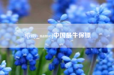 仙桃中国最牛保镖