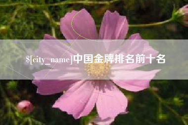 仙桃中国金牌排名前十名
