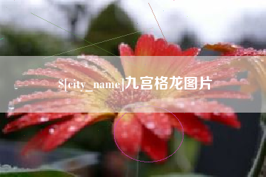 仙桃九宫格龙图片