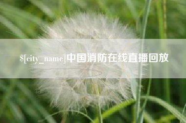 仙桃中国消防在线直播回放