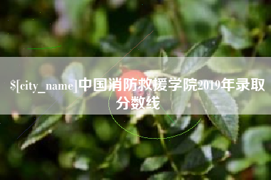 仙桃中国消防救援学院2019年录取分数线