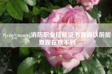 仙桃消防职业技能证书查询以前能查现在查不到