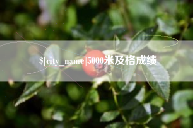 仙桃5000米及格成绩