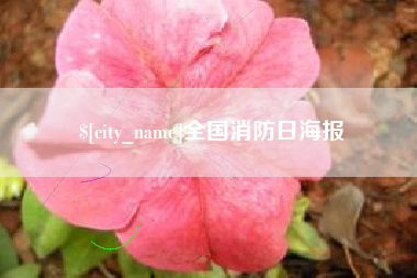 仙桃全国消防日海报