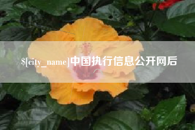仙桃中国执行信息公开网后