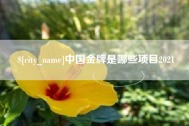 仙桃中国金牌是哪些项目2021