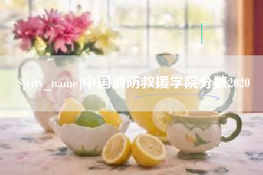 仙桃中国消防救援学院分数2020