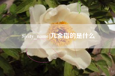 仙桃九金指的是什么