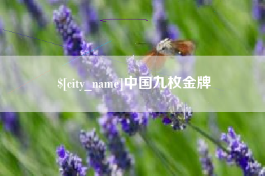 仙桃中国九枚金牌