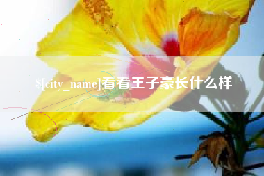 仙桃看看王子豪长什么样