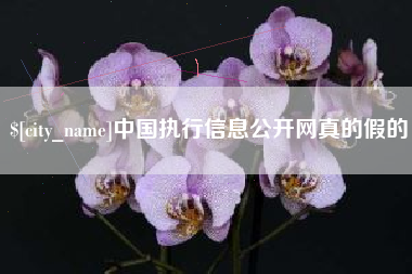 仙桃中国执行信息公开网真的假的
