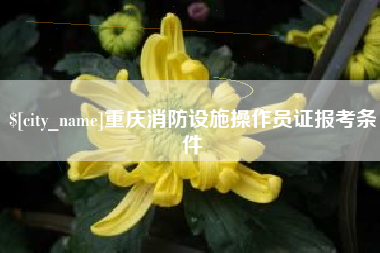 仙桃重庆消防设施操作员证报考条件