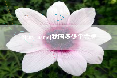 仙桃我国多少个金牌