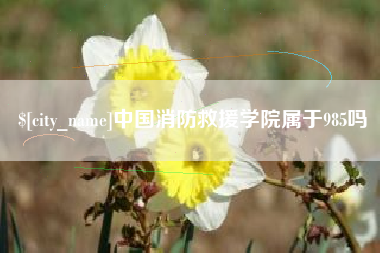 仙桃中国消防救援学院属于985吗