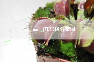 仙桃九宫格分布图