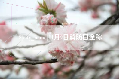仙桃11月9日消防日全称