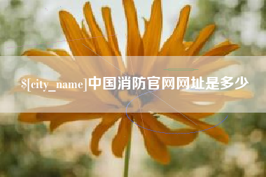 仙桃中国消防官网网址是多少