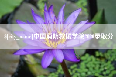 仙桃中国消防救援学院2020录取分
