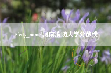 仙桃河南消防大学分数线