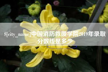 仙桃中国消防救援学院2019年录取分数线是多少