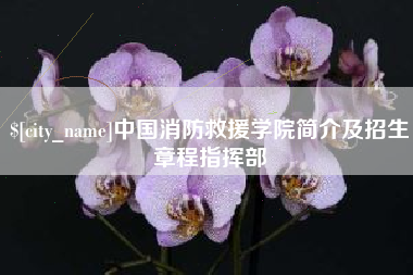 仙桃中国消防救援学院简介及招生章程指挥部