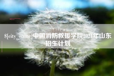 仙桃中国消防救援学院2021年山东招生计划