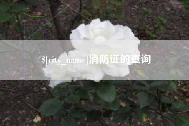 仙桃消防证的查询