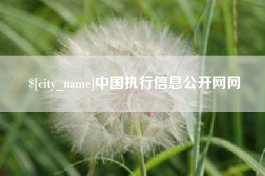 仙桃中国执行信息公开网网