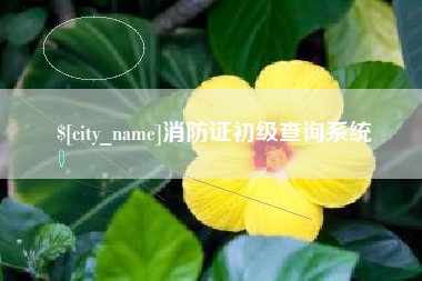 仙桃消防证初级查询系统