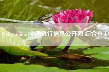 仙桃中国执行信息公开网 综合查询