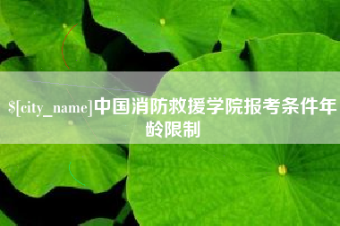 仙桃中国消防救援学院报考条件年龄限制